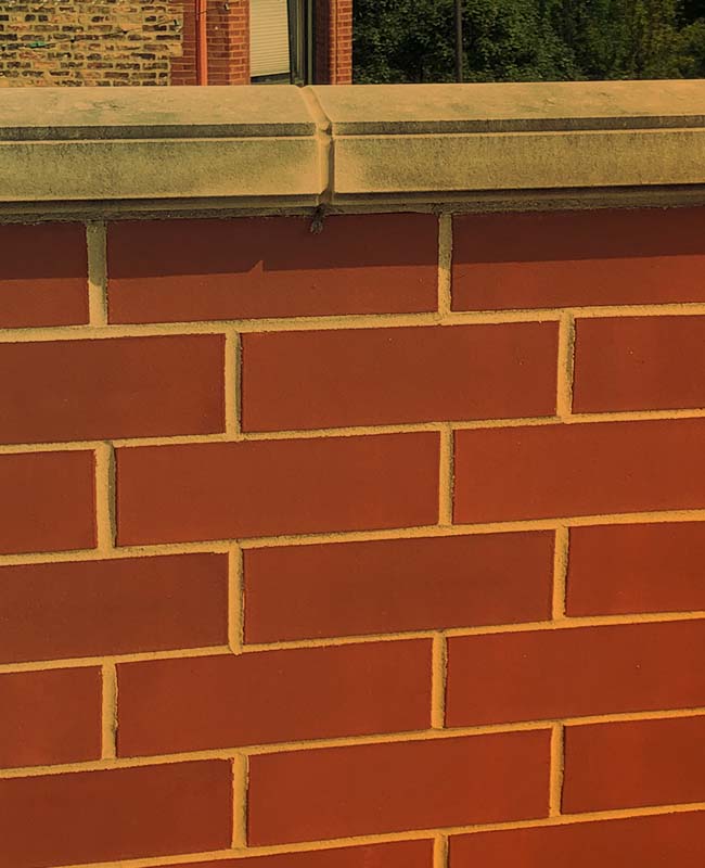 Bucktown Garage Roof Deck Renovation Projects Chicago Roof Deck