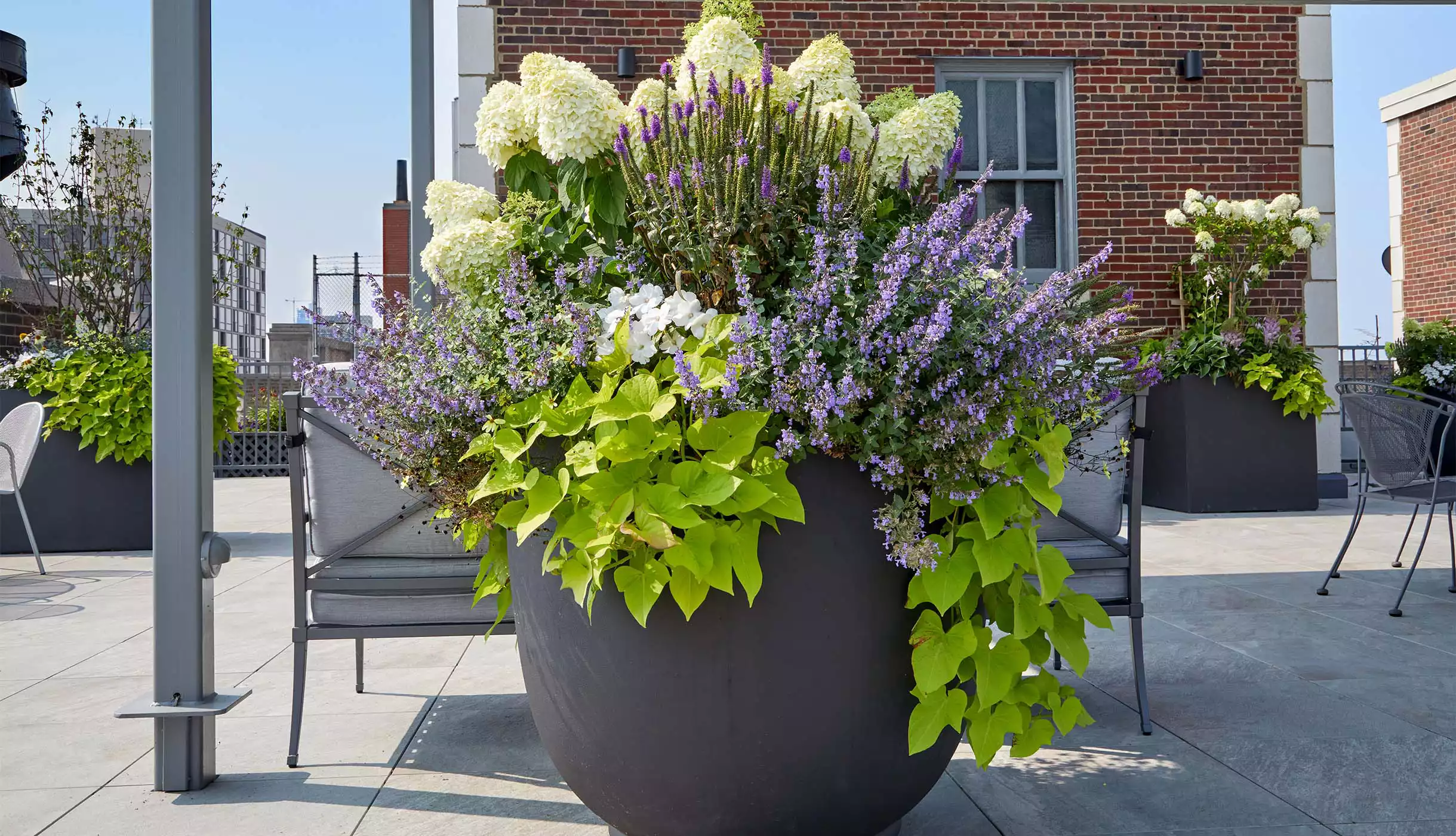 Chicago Roof Deck Projects Lakeview Roof Deck ▹ Photo 6