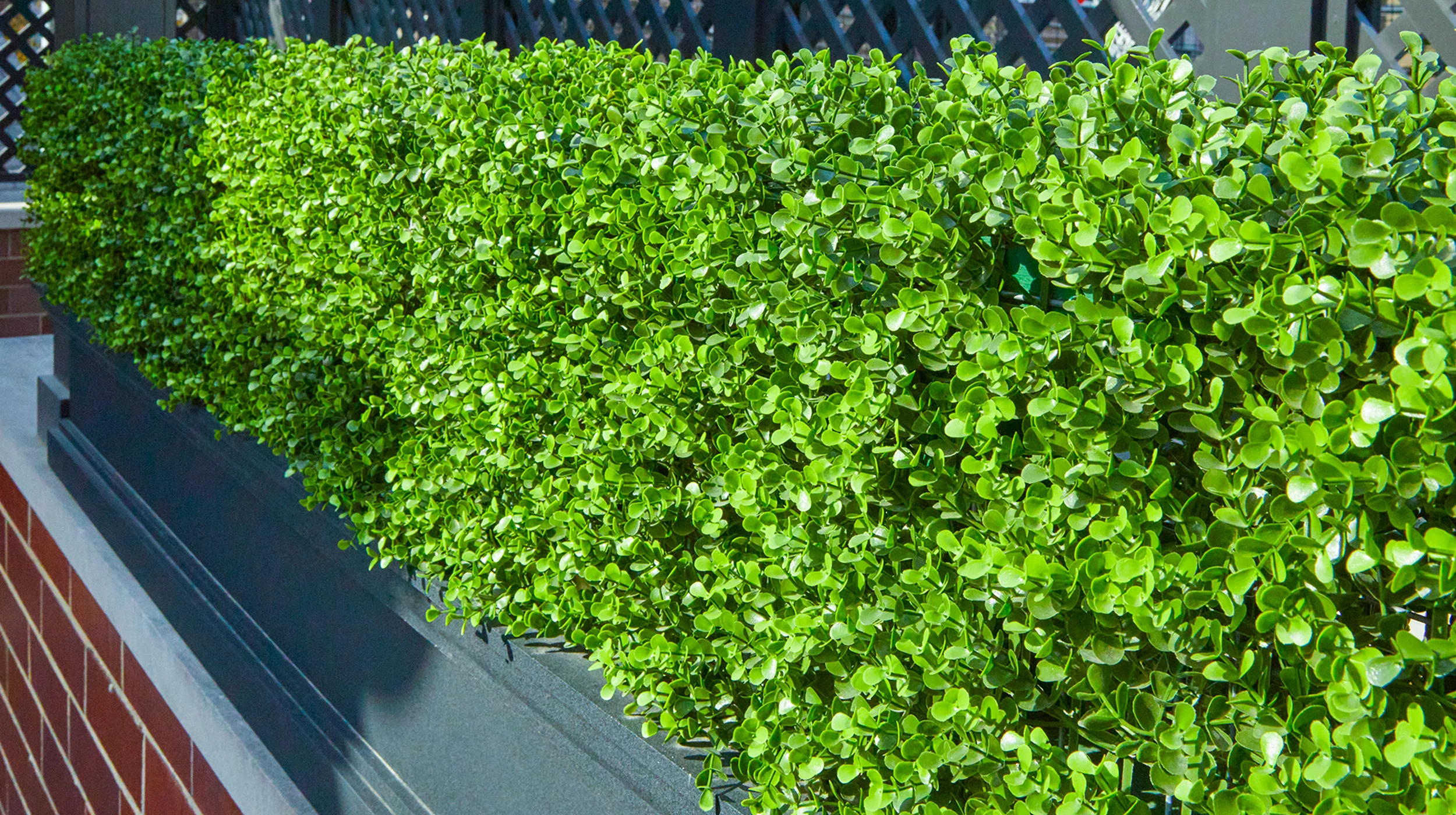 Chicago Roof Deck Faux greenery panels Photo 2
