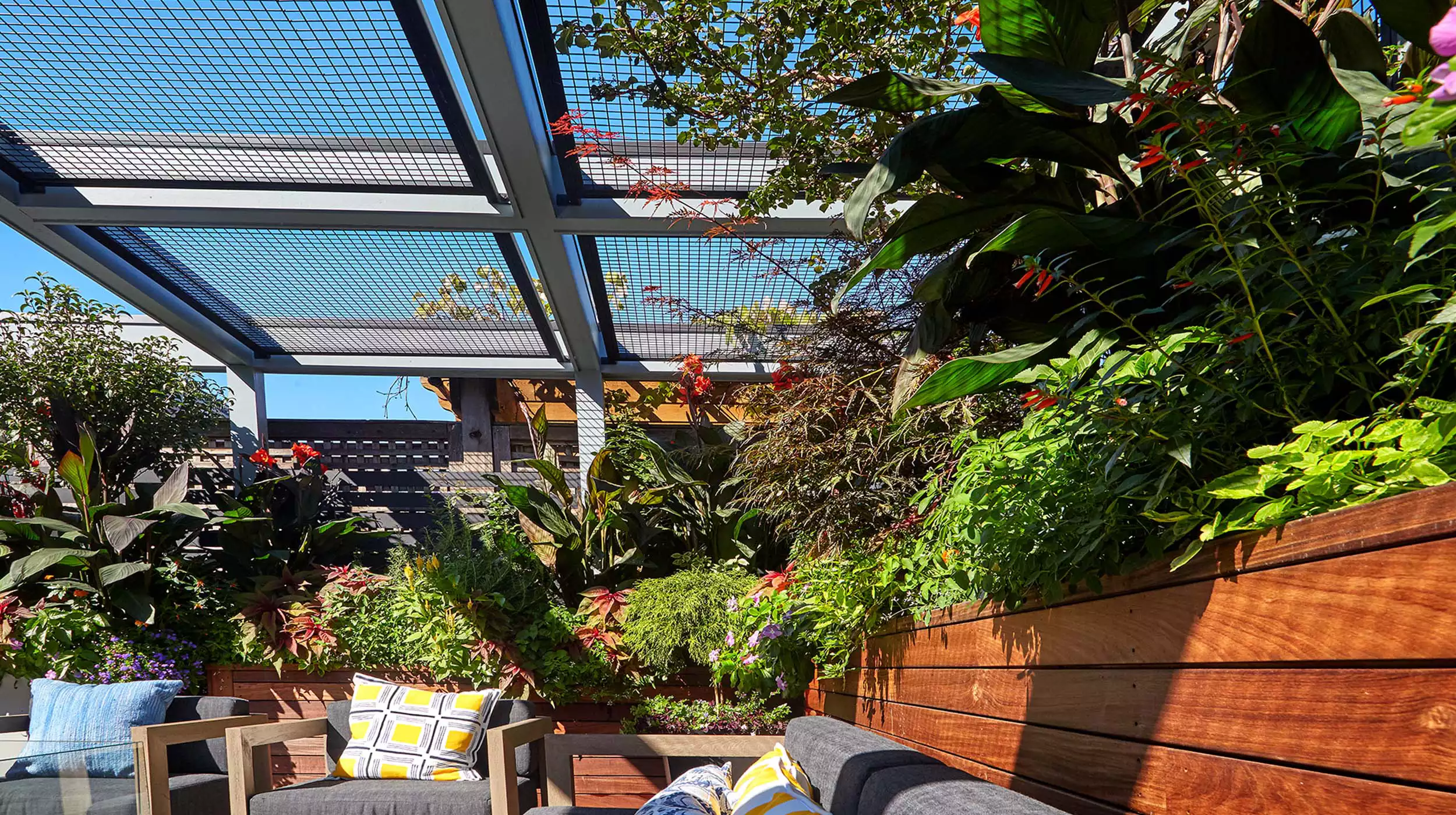 Chicago Roof Deck Projects Lush & Leafy Lincoln Park Retreat Photo 5