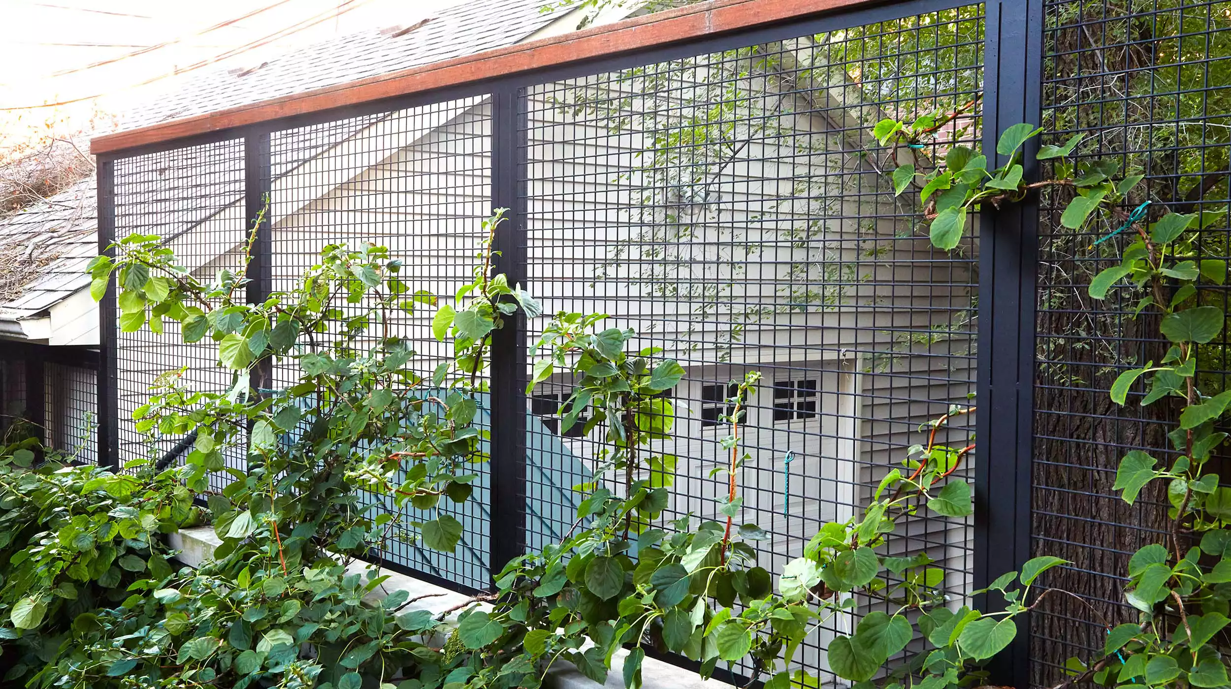 Chicago Roof Deck Element Aluminum screening Main Photo