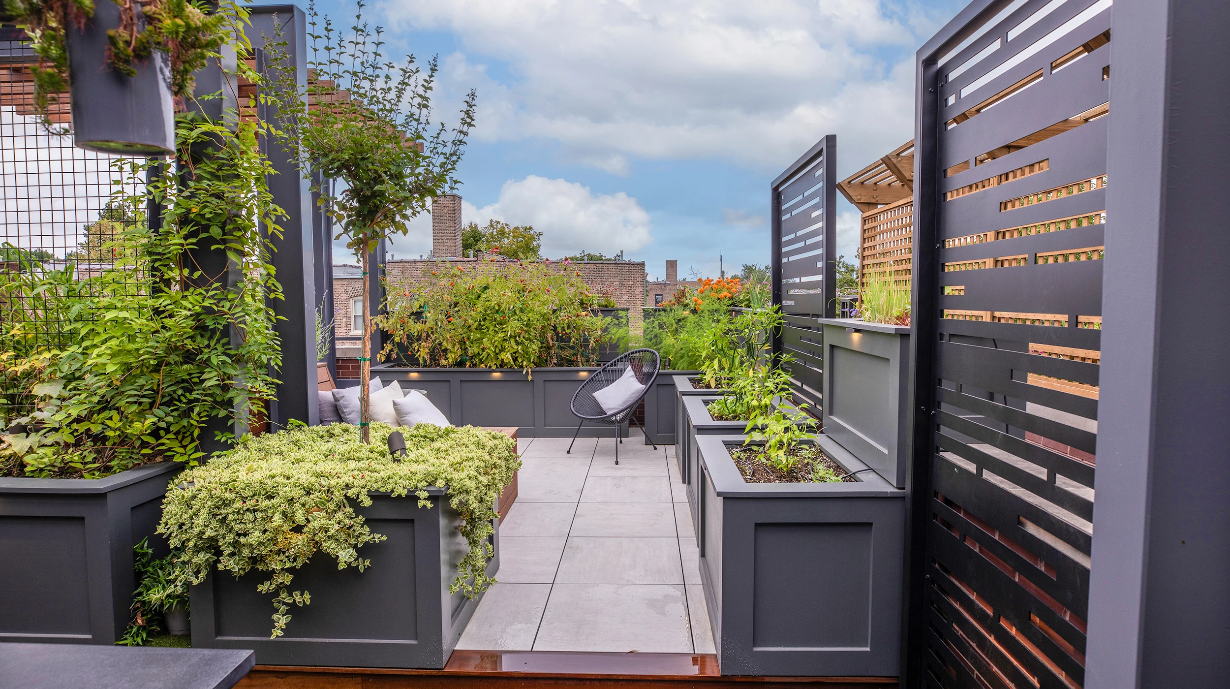 Chicago Roof Deck Projects Urban Green Sanctuary ▹ Photo 5